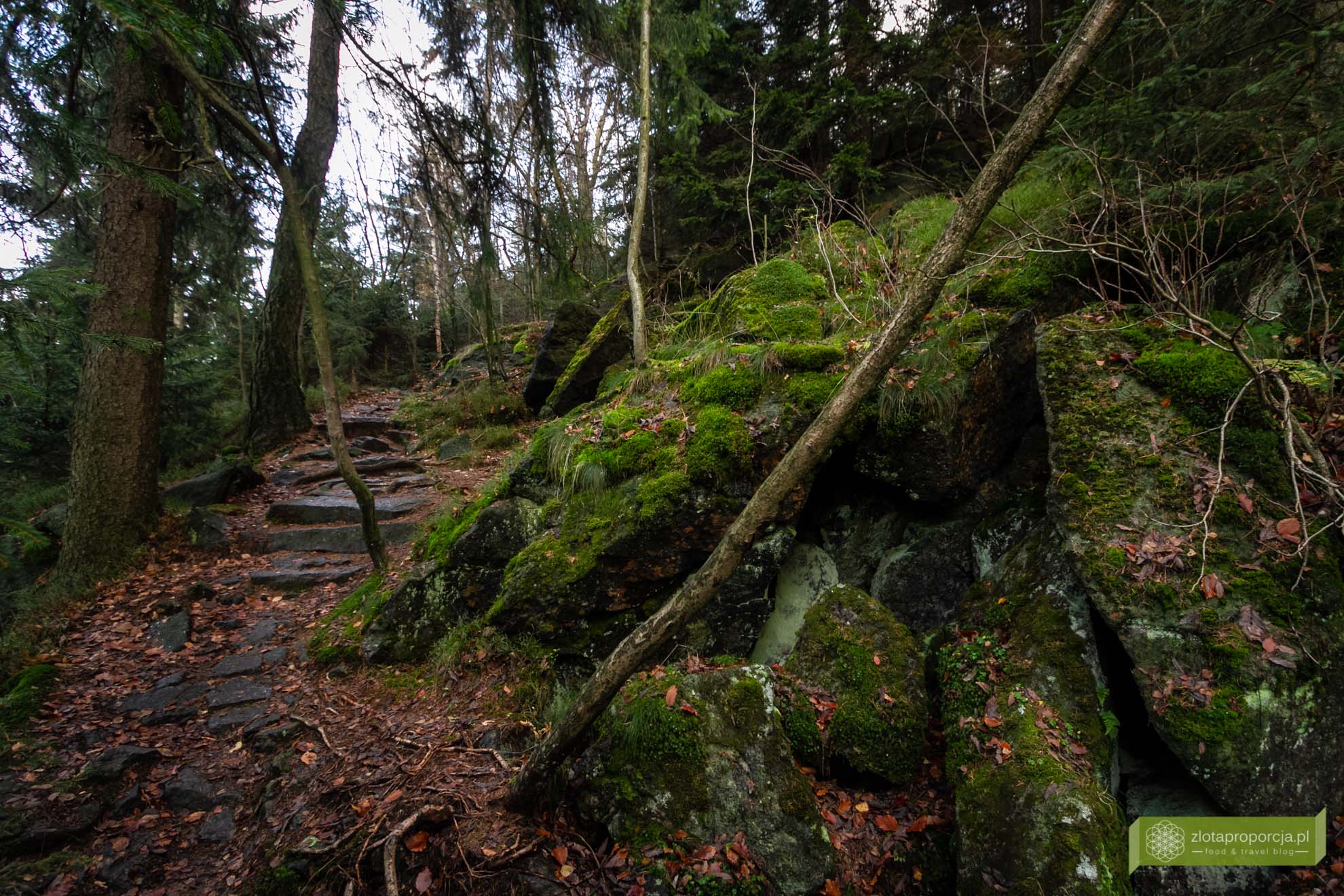 Ślęża; Góra Ślęża; Masyw Ślęży; okolice Wrocławia; Ślęża szlaki; Ślęża legendy; miejsce mocy; Góra mocy;