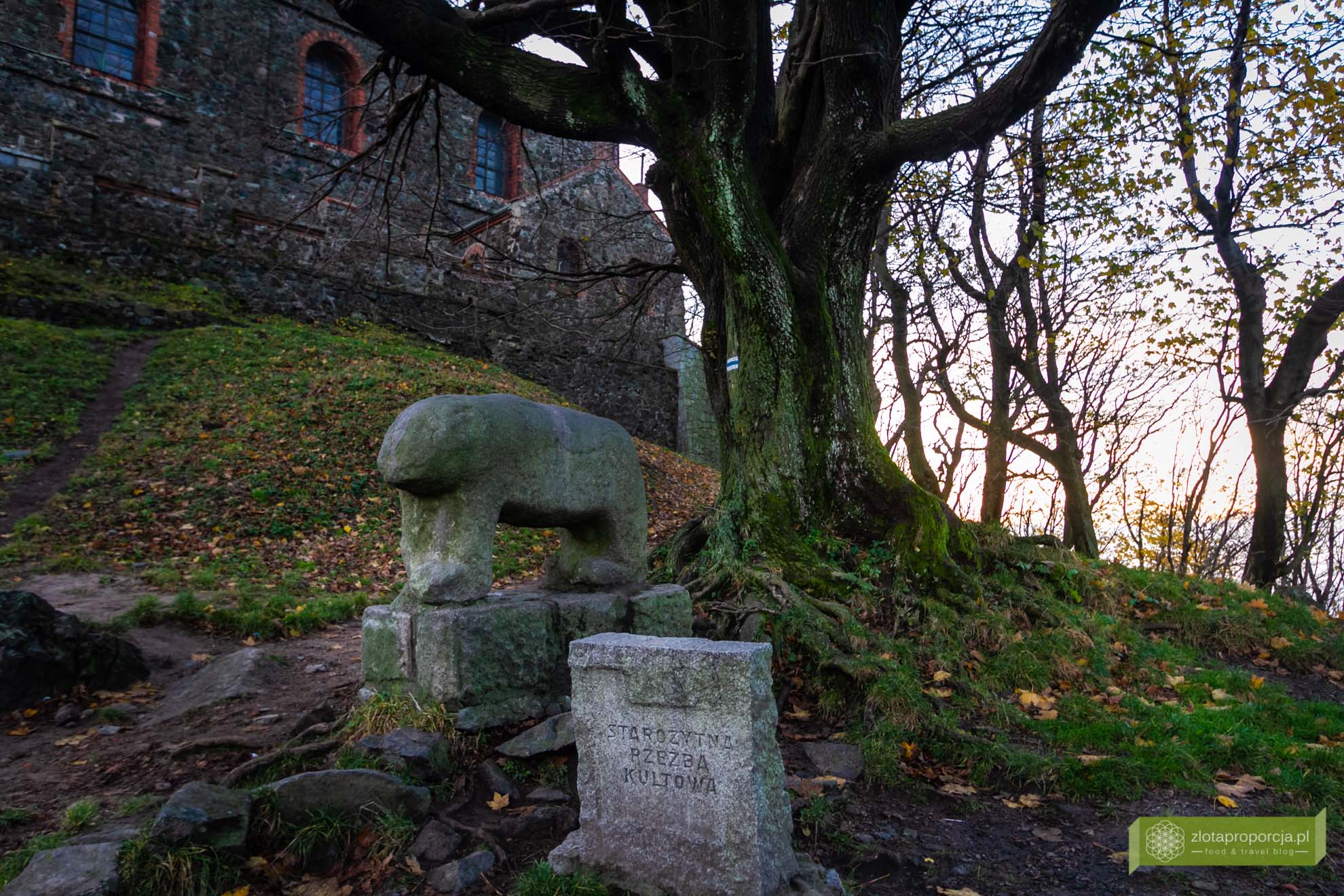 sleza_3780, Ślęża, Masyw Ślęży, rzeźba kultowa