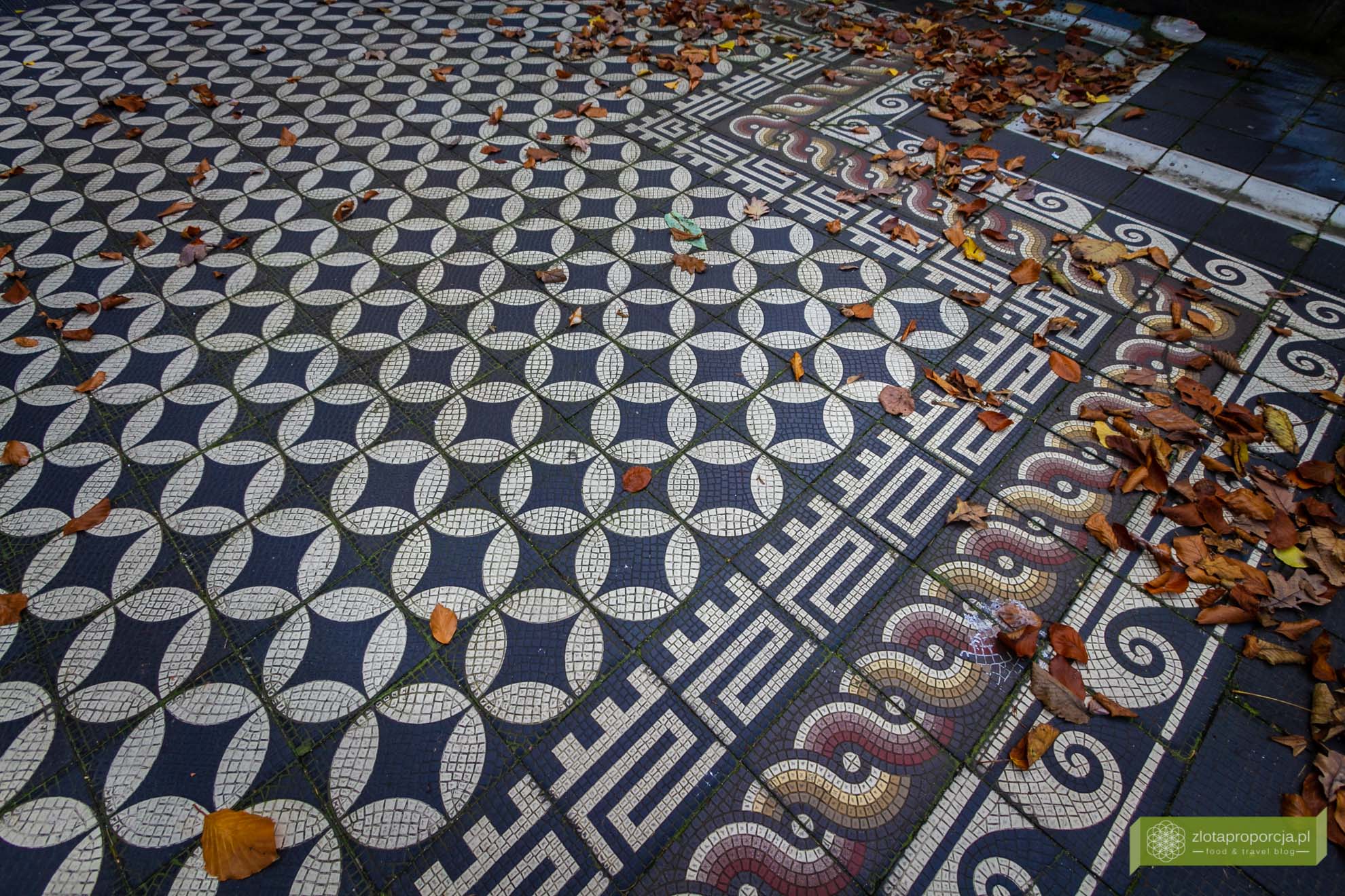 sleza_3831, Ślęża, Masyw Ślęży, Sobótka, Zamek Górka