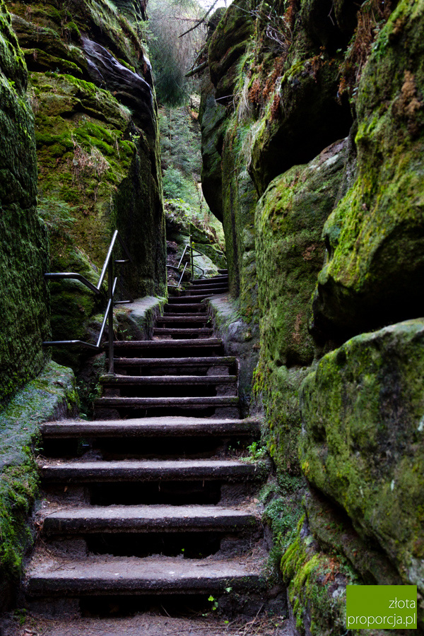 Saksonska Szwajcaria W Bastei I Konigstein Niemcy Saksonia