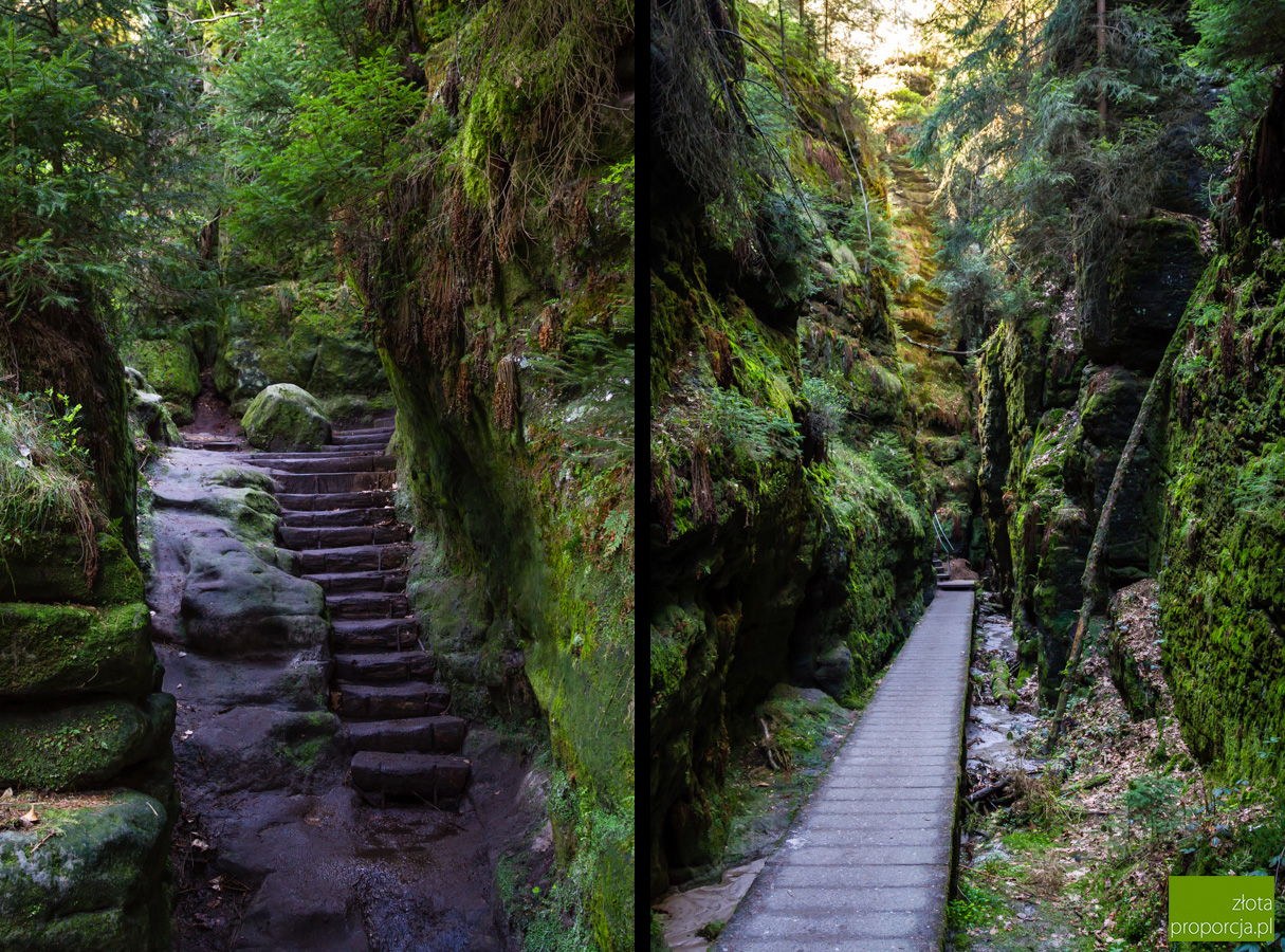 Saksonska Szwajcaria W Bastei I Konigstein Niemcy Saksonia