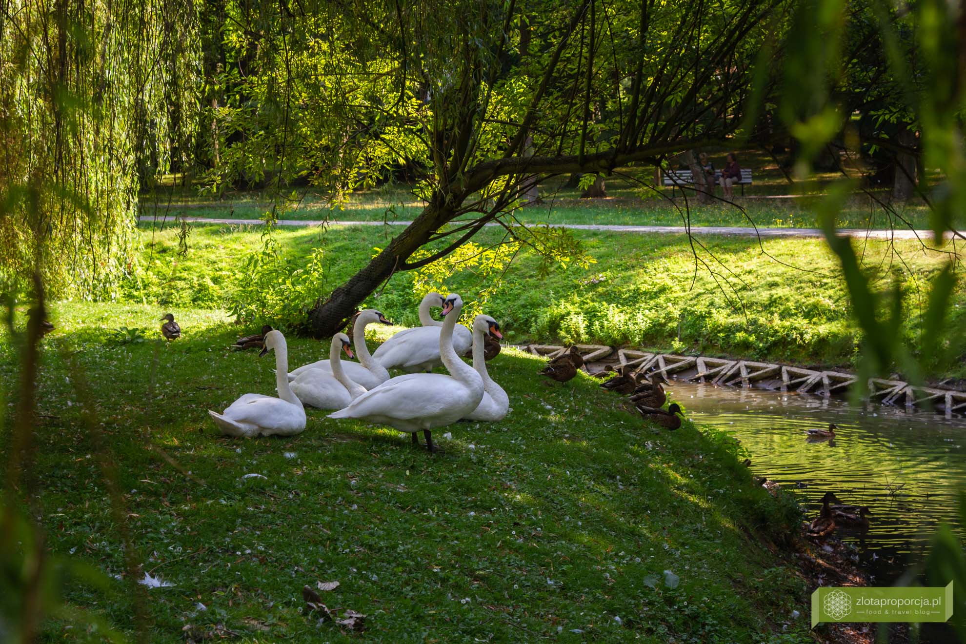 Nałęczów; uzdrowisko Nałęczów; Lubelszczyzna; Nałęczów Park Zdrojowy;
