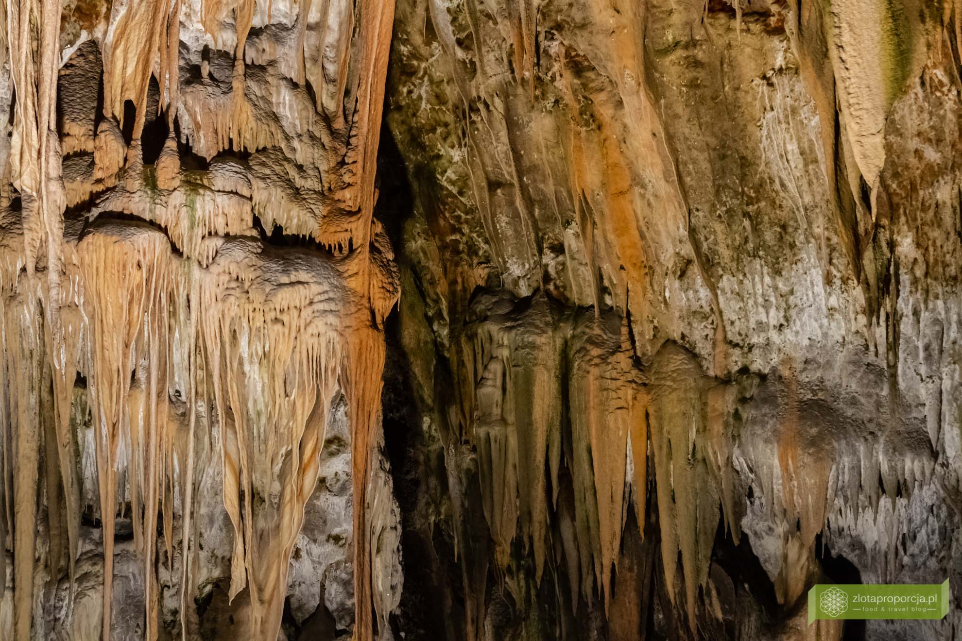 Jaskinia Postojna; Postojna; Słowenia; atrakcje Słowenii; co zobaczyć w Słowenii; jaskinia Słowenia; 