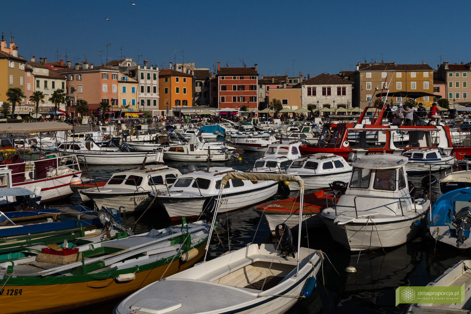 Rovinj, Istria, Chorwacja, atrakcje Istrii