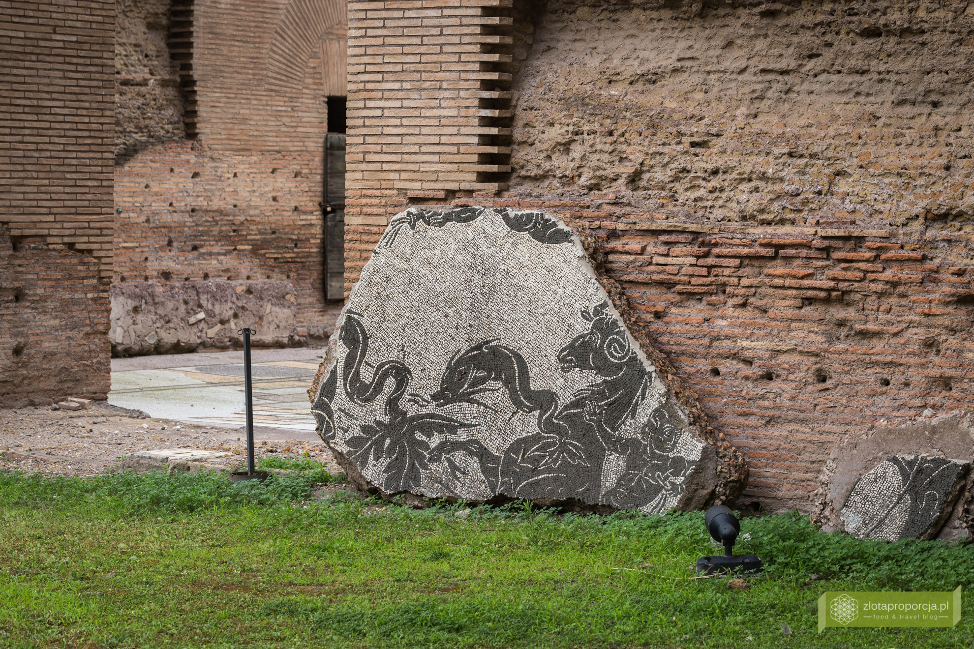 Termy Karakalli, Rzym, atrakcje Rzymu, co zobaczyć w Rzymie, Lazio