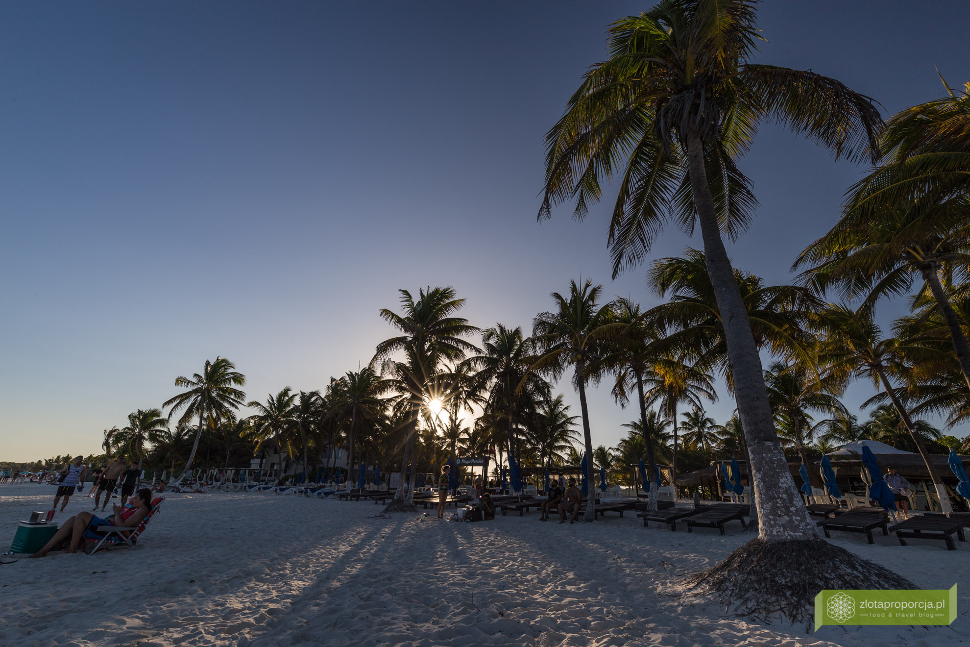 Tulum, plaża w Tulum, wodorosty, Jukatan, Meksyk, 