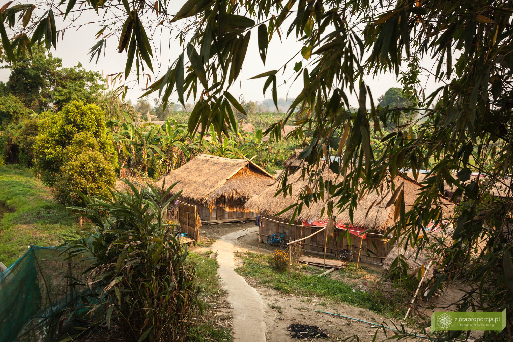 Tajlandia, Plemię Padaung, tajskie plemiona, długie szyje, okolice Chiang Rai