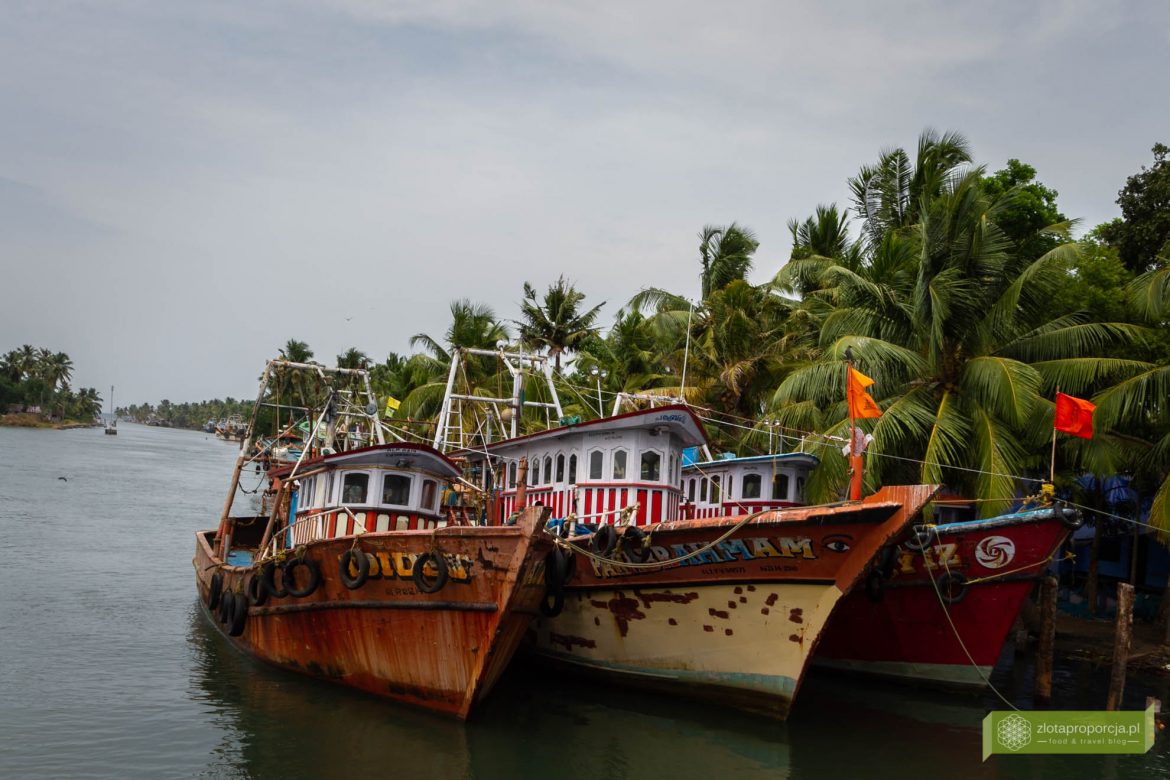 rozlewiska-w-kerali-i-z-oty-houseboatowy-interes-indie-kerala