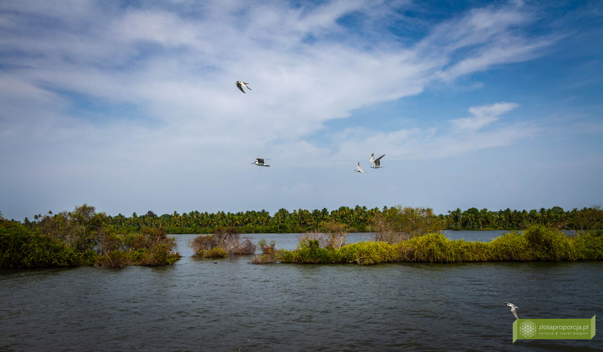 Kerala backwaters, Kerala, Indie, houseboat Kerala; Alappuzha; Alleppey;