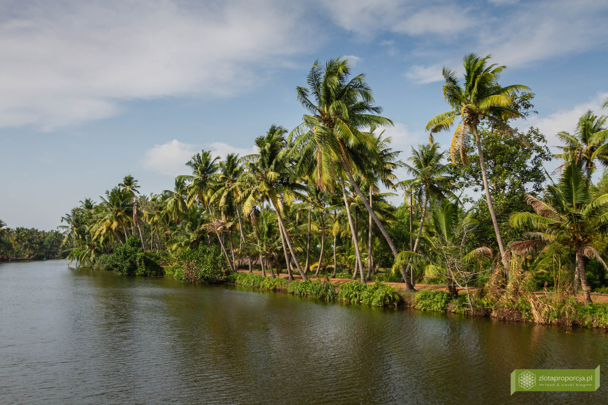 Kerala backwaters, Kerala, Indie, houseboat Kerala; Alappuzha; Alleppey;