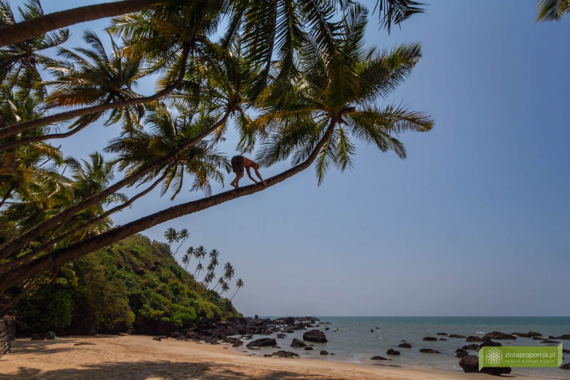 Goa, Indie, Cola beach, Goa szkołą jogi
