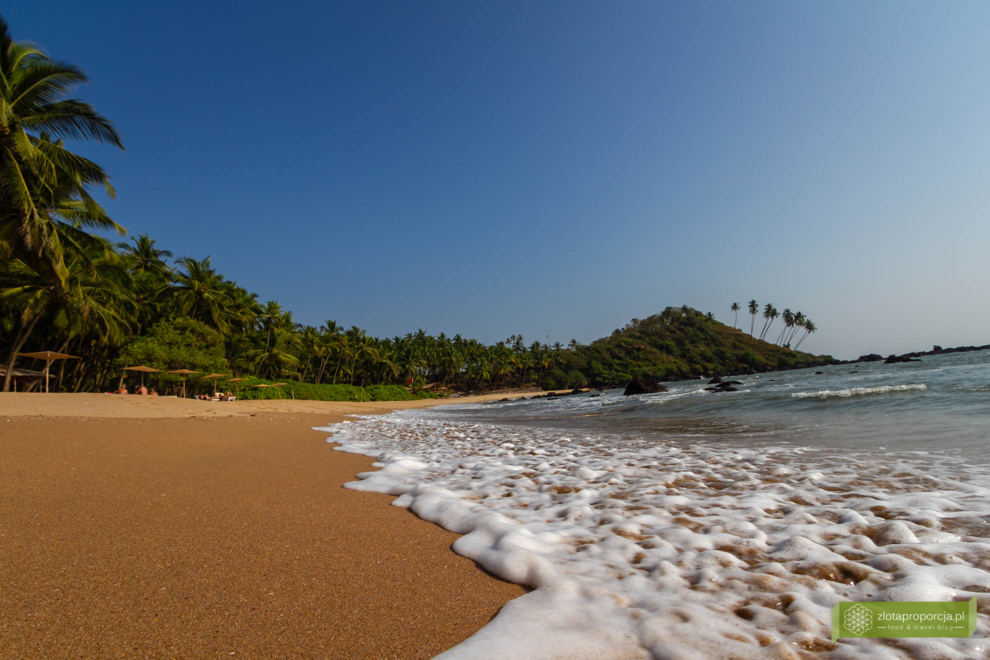 Goa, Indie, Cola beach, Goa szkołą jogi