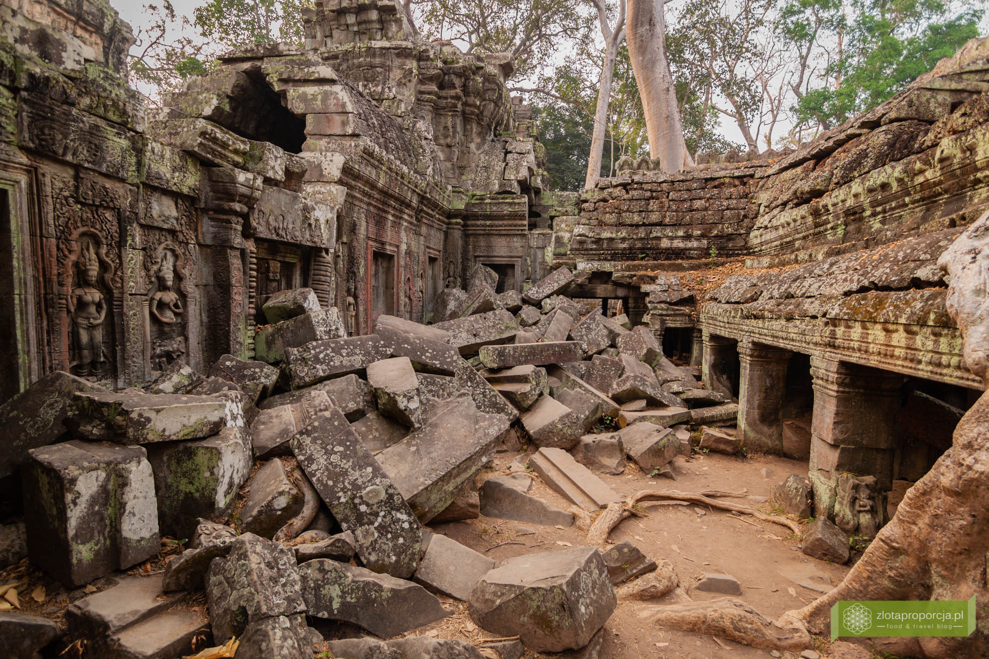 Angkor, Siem Reap, Kambodża; Ta Prohm, świątynia Tomb Raidera