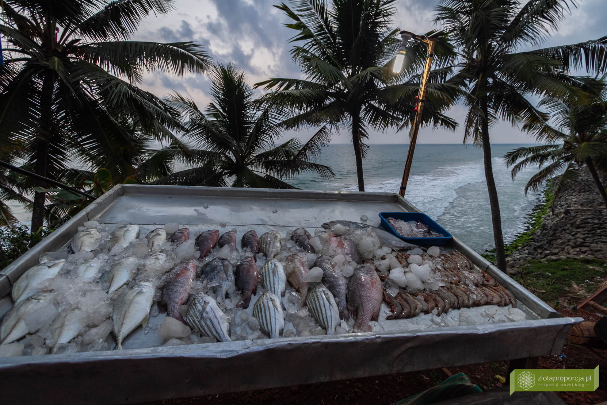 Varkala, Indie, Kerala, ciekawe miejsca Indie, atrakcje Kerali, Południowe Indie; Papanasam Beach i czerwone klify, plaża Varkala;