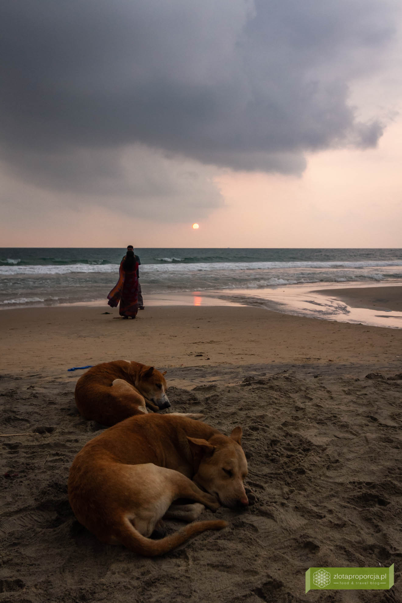 Varkala, Indie, Kerala, ciekawe miejsca Indie, atrakcje Kerali, Południowe Indie; Papanasam Beach i czerwone klify, plaża Varkala;