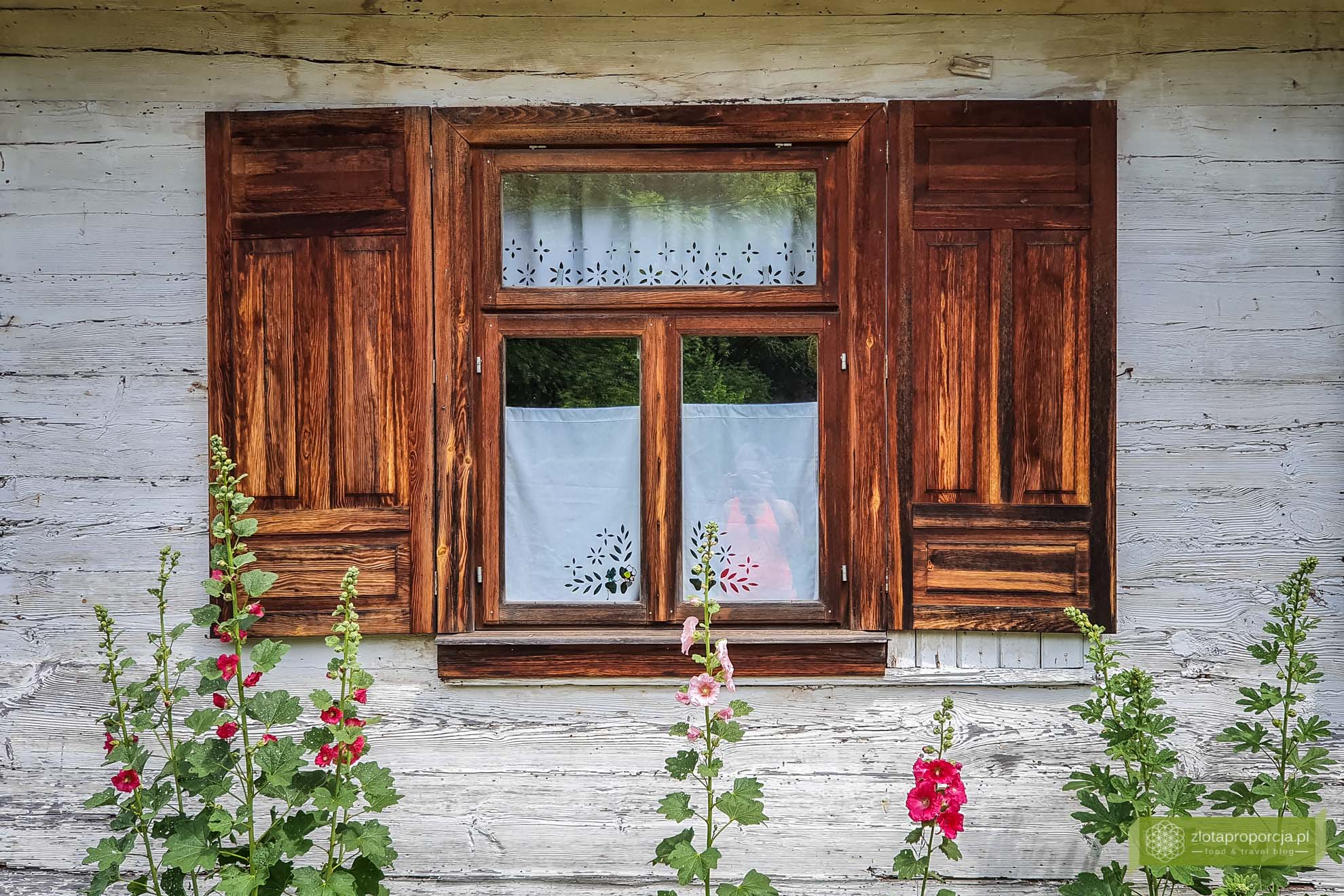 Podlasie; Podlasie rowerem; szlak drewnianych cerkwi Podlasie; okolice Hajnówki; Dubicze Cerkiewne; Dubicze Cerkiewne szkoła; Dubicze Cerkiewne atrakcje; najpiękniejsze cerkwie na Podlasiu;