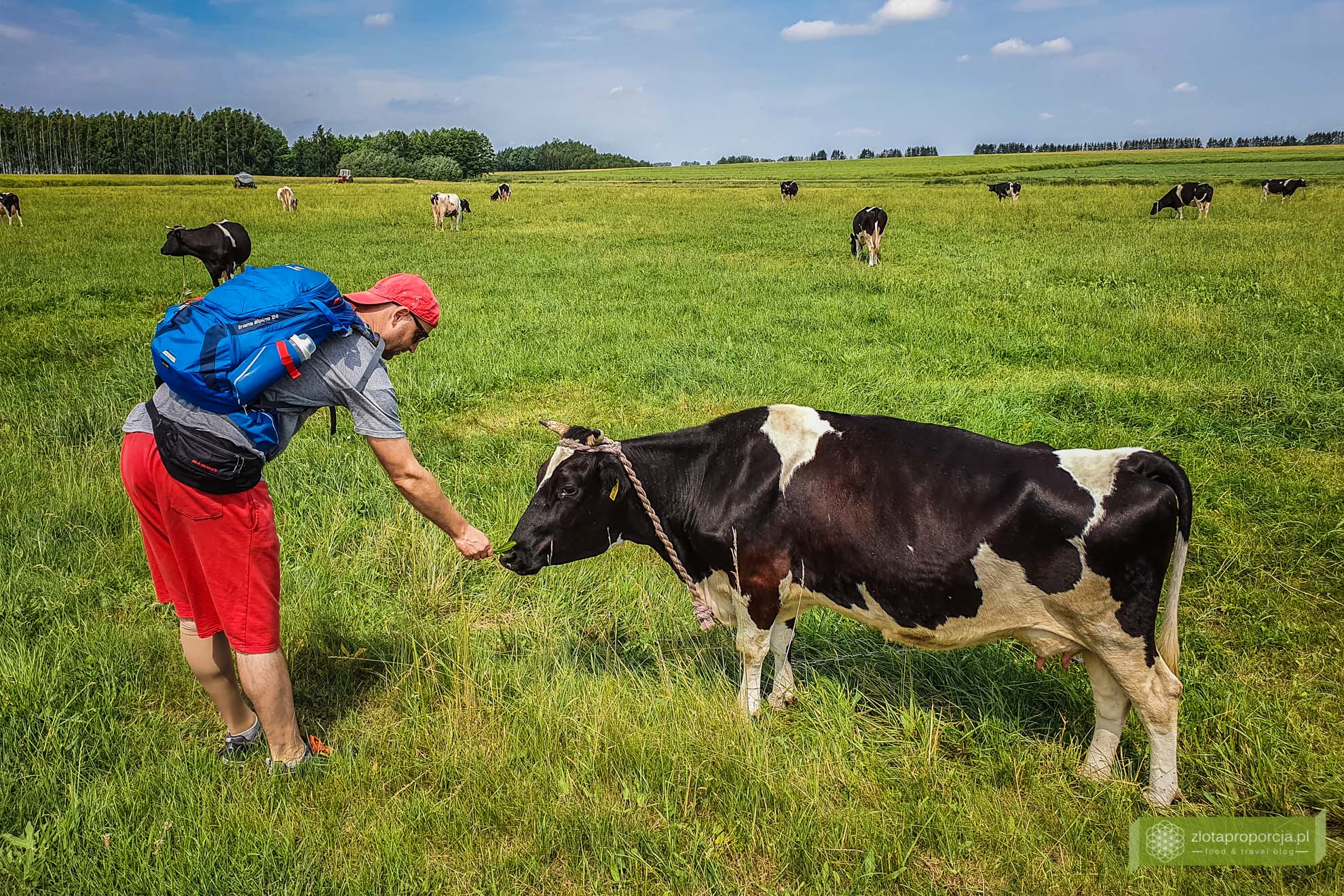 Podlasie; Podlasie rowerem; szlak drewnianych cerkwi Podlasie; okolice Hajnówki; najpiękniejsze cerkwie na Podlasiu;