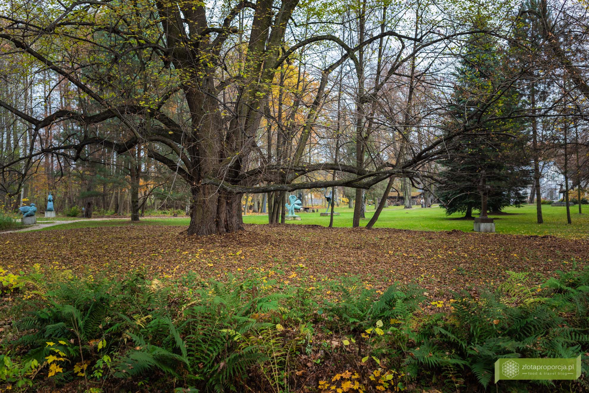 Ogród Rzeźb Juana Soriano; ogród Soriano; okolice Warszawy; Juan Soriano; rzeźby Juana Soriano; Mazowsze; Owczarnia; Owczarnia Ogród Soriano; Kazimierówka Owczarnia; okolice Milanówka;