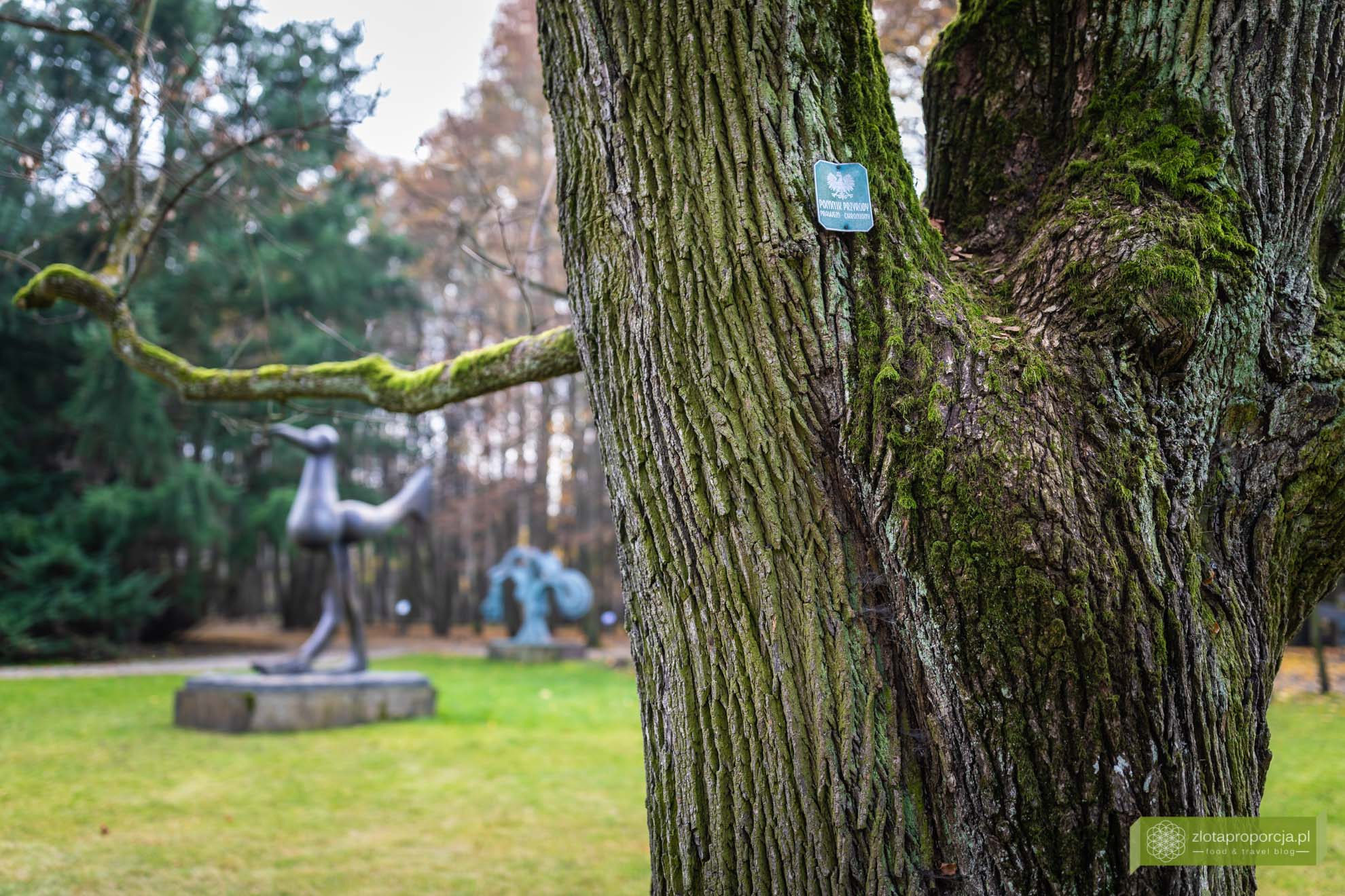 Ogród Rzeźb Juana Soriano; ogród Soriano; okolice Warszawy; Juan Soriano; rzeźby Juana Soriano; Mazowsze; Owczarnia; Owczarnia Ogród Soriano; Kazimierówka Owczarnia; okolice Milanówka;