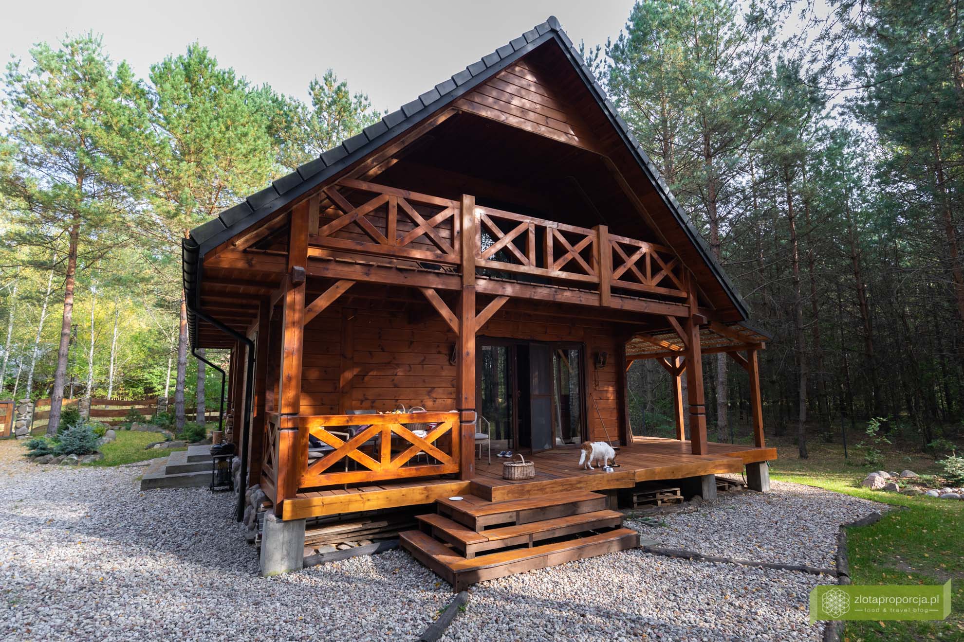 Łosia Chata; Podlasie; noclegi na Podlasiu; Puszcza Knyszyńska; nocleg w Puszczy Knyszyńskiej; Gdzie spać w Puszczy Knyszyńskiej; Grzybowce;