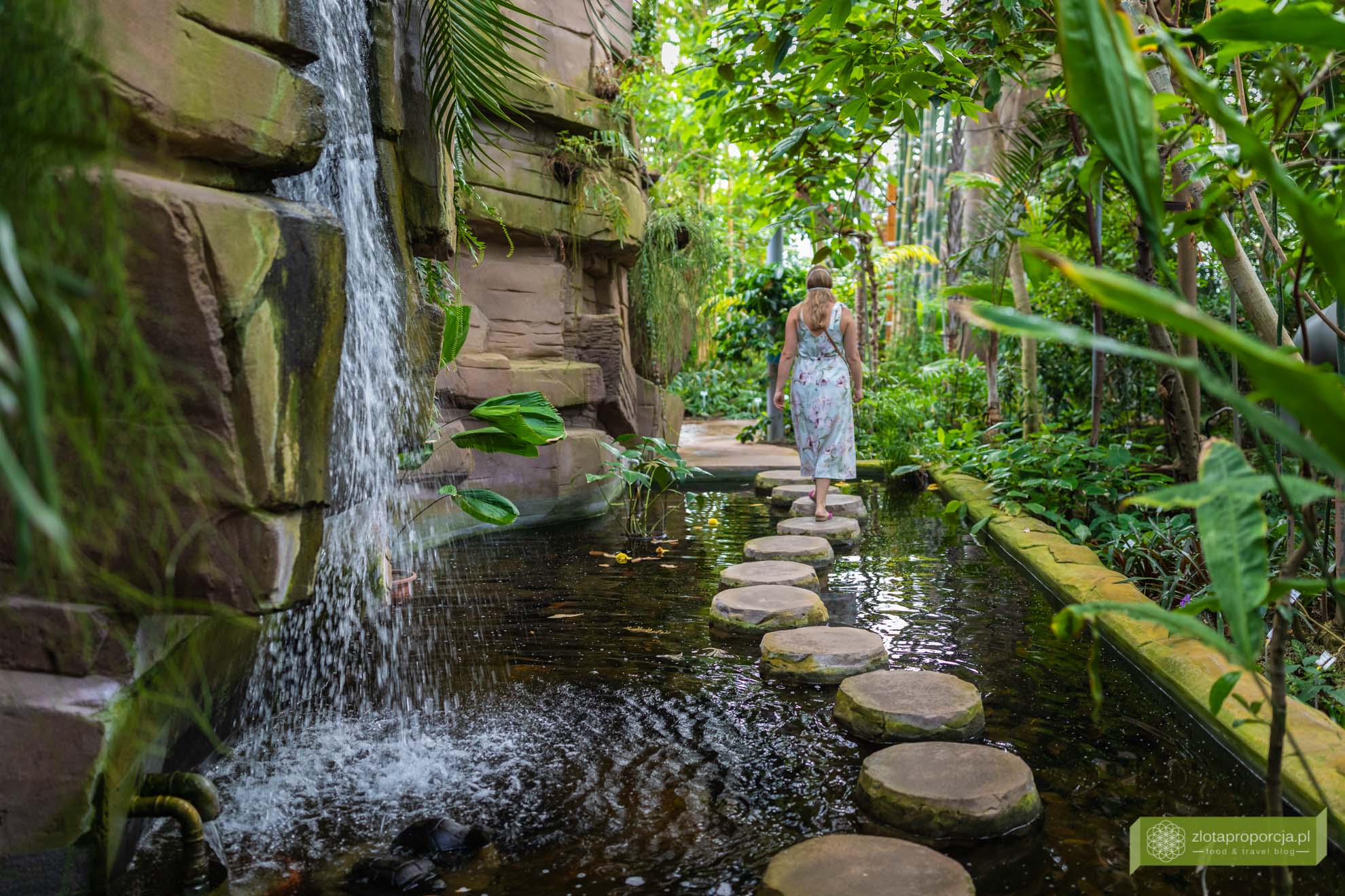 Berlin; Steglitz-Zehlendorf; atrakcje Berlina; Berliński Ogród Botaniczny; ogród botaniczny w Berlinie;