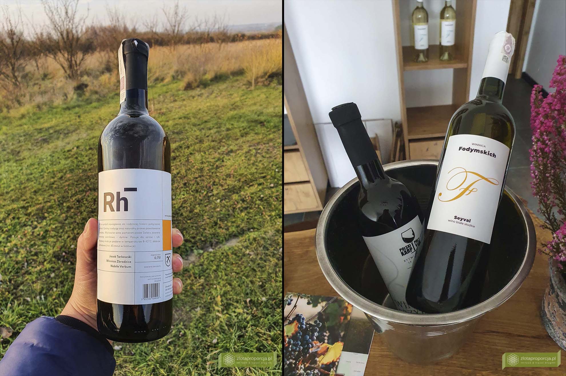 Busko-Zdrój; Busko-Zdrój atrakjce; co zobaczyć w Busku-zdrój; świętokrzyskie; Ponidzie; Ponidzie atrakcje; świętokrzyskie winnice; winnica Busko-Zdrój; Winnica Zbrodzice; Winnica Fodymskich; 