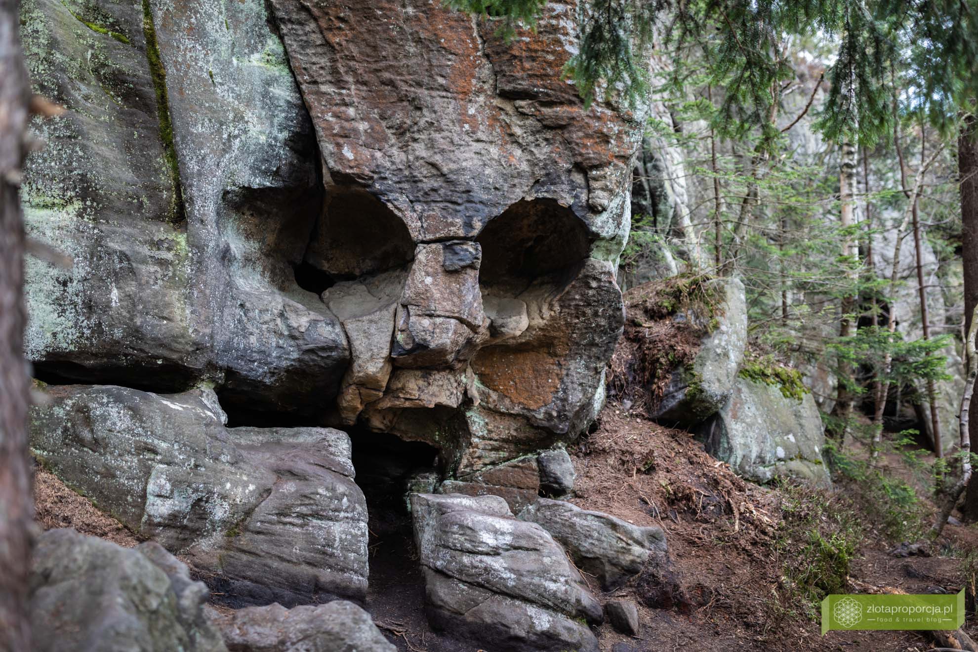 Góry Stołowe; Park Narodowy Gór Stołowych; Dolny Śląsk; atrakcje Dolnego Śląska; Góry Stołowe szlaki; Góry Stołowe atrakcje; Skalna Czaszka; Skalna Czaszka jak dojść; Skalna Czaszka trasa; Skalna Czaszka Góry Stołowe;