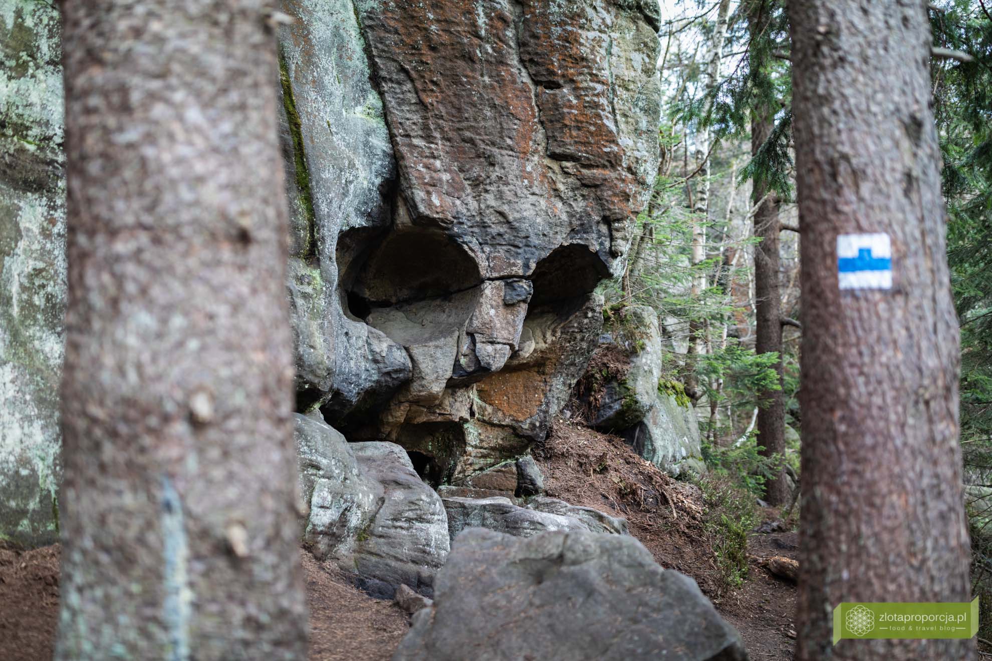 Góry Stołowe; Park Narodowy Gór Stołowych; Dolny Śląsk; atrakcje Dolnego Śląska; Góry Stołowe szlaki; Góry Stołowe atrakcje; Skalna Czaszka; Skalna Czaszka jak dojść; Skalna Czaszka trasa; Skalna Czaszka Góry Stołowe;