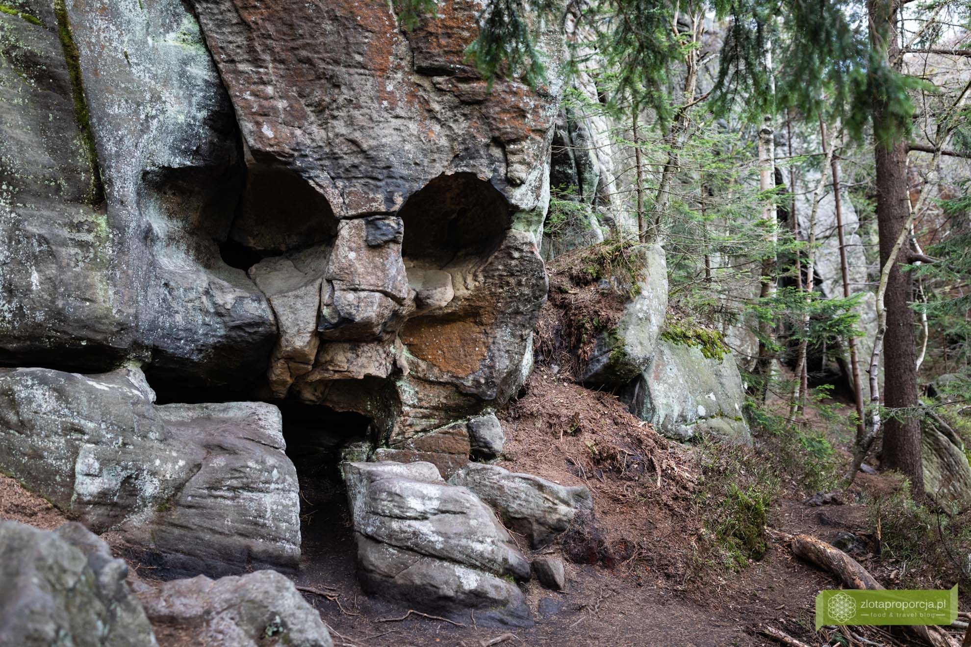 Góry Stołowe; Park Narodowy Gór Stołowych; Dolny Śląsk; atrakcje Dolnego Śląska; Góry Stołowe szlaki; Góry Stołowe atrakcje; Skalna Czaszka; Skalna Czaszka jak dojść; Skalna Czaszka trasa; Skalna Czaszka Góry Stołowe;
