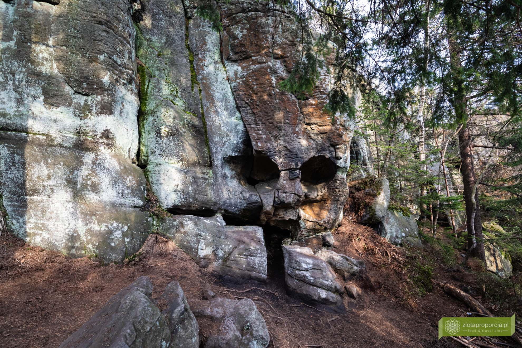 Góry Stołowe; Park Narodowy Gór Stołowych; Dolny Śląsk; atrakcje Dolnego Śląska; Góry Stołowe szlaki; Góry Stołowe atrakcje; Skalna Czaszka; Skalna Czaszka jak dojść; Skalna Czaszka trasa; Skalna Czaszka Góry Stołowe;