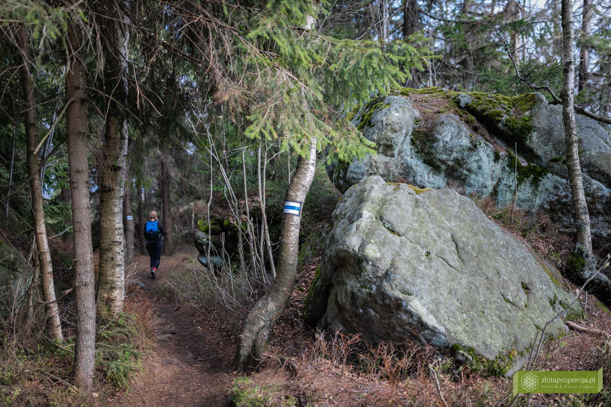 Góry Stołowe; Park Narodowy Gór Stołowych; Dolny Śląsk; atrakcje Dolnego Śląska; Góry Stołowe szlaki; Góry Stołowe atrakcje; Skalna Czaszka; Skalna Czaszka jak dojść; Skalna Czaszka trasa; Skalna Czaszka Góry Stołowe;