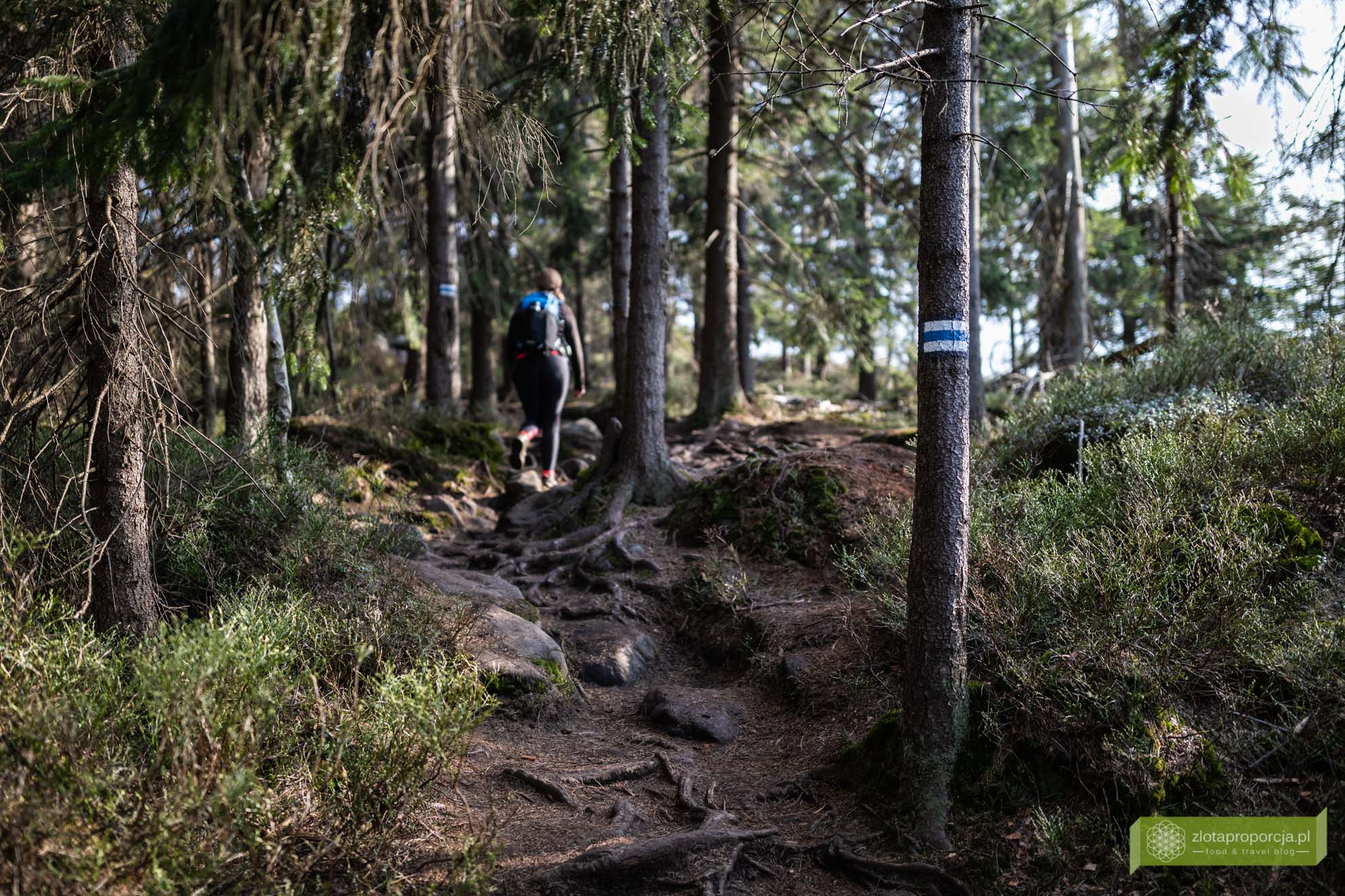 Góry Stołowe; Park Narodowy Gór Stołowych; Dolny Śląsk; atrakcje Dolnego Śląska; Góry Stołowe szlaki; Góry Stołowe atrakcje; Skalna Czaszka; Skalna Czaszka jak dojść; Skalna Czaszka trasa; Skalna Czaszka Góry Stołowe;