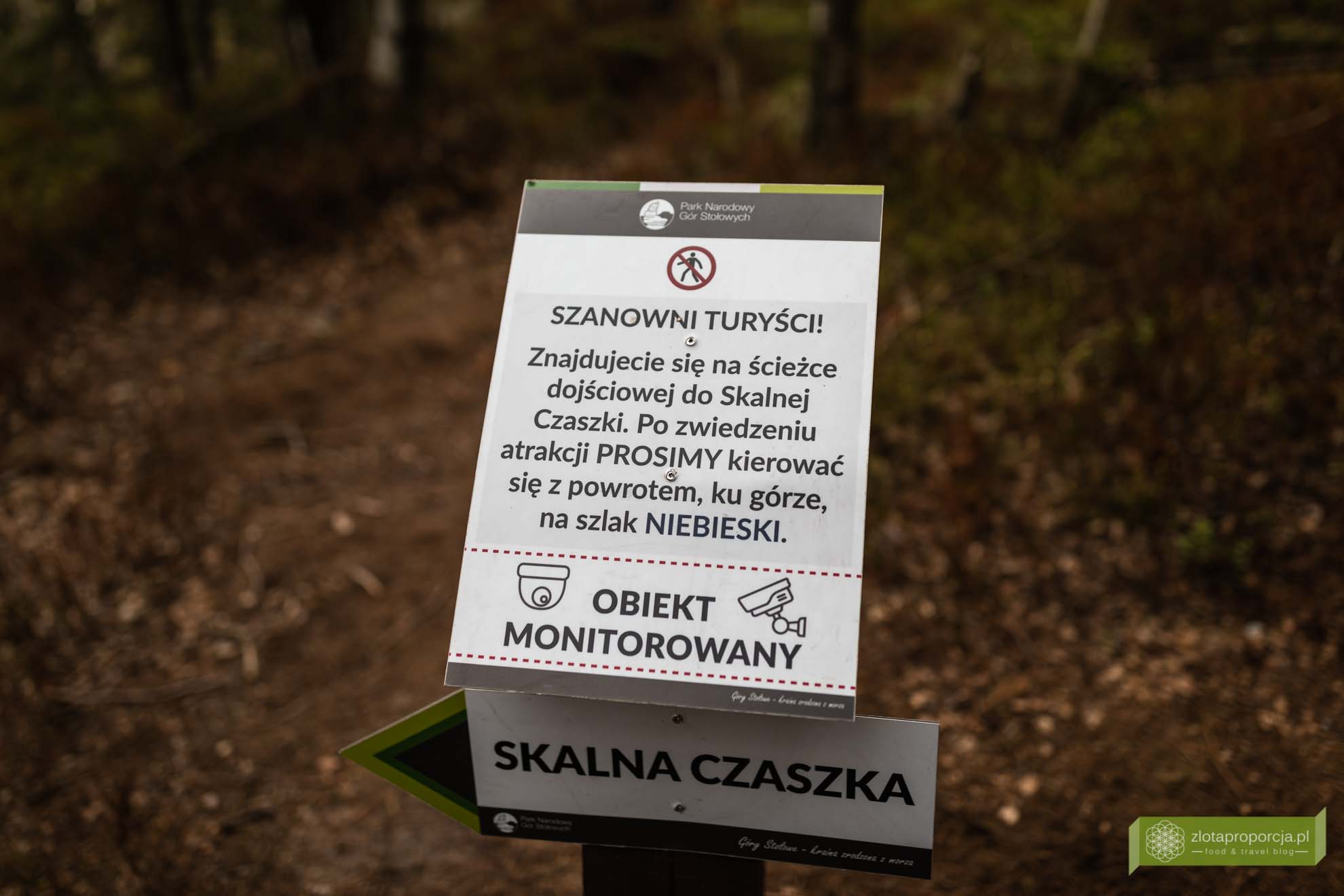 Góry Stołowe; Park Narodowy Gór Stołowych; Dolny Śląsk; atrakcje Dolnego Śląska; Góry Stołowe szlaki; Góry Stołowe atrakcje; Skalna Czaszka; Skalna Czaszka jak dojść; Skalna Czaszka trasa; Skalna Czaszka Góry Stołowe;