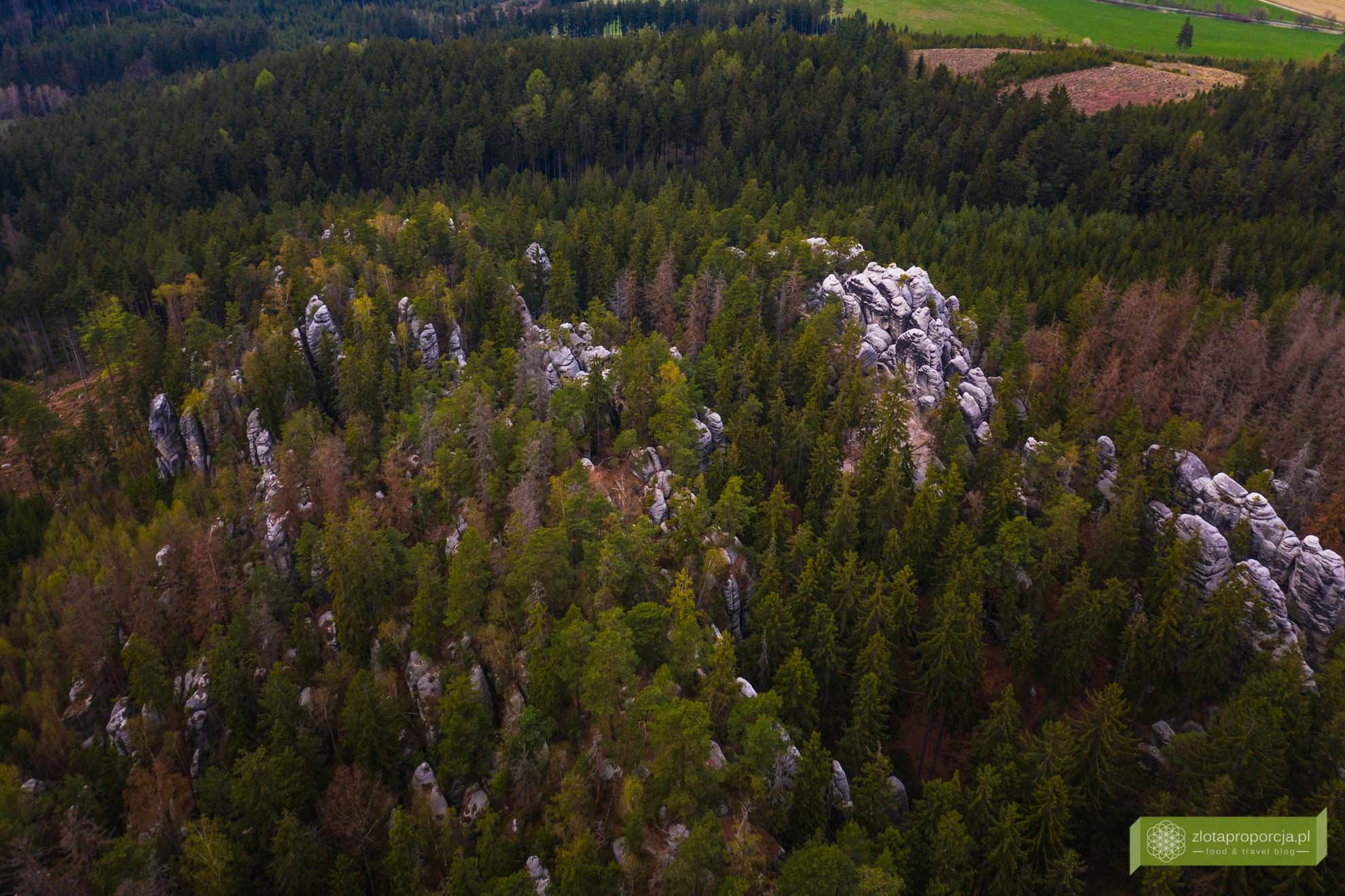 Czechy; Broumovsko; miasta skalne w Czechach; Kocici skaly; Kocie Skały; Kocie Skały Czechy; skalne miasto Kocici Skaly;