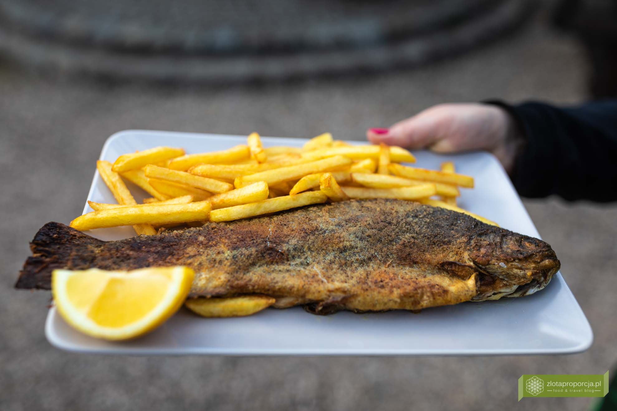 pstrąg kłodzki; smażalnia pastrąga dolny śląsk; smażalnia ścinawka średnia; pstrąg ścinawka średnia; pstrąg dolny sląsk; smażalnia pstrąg kłodzki;