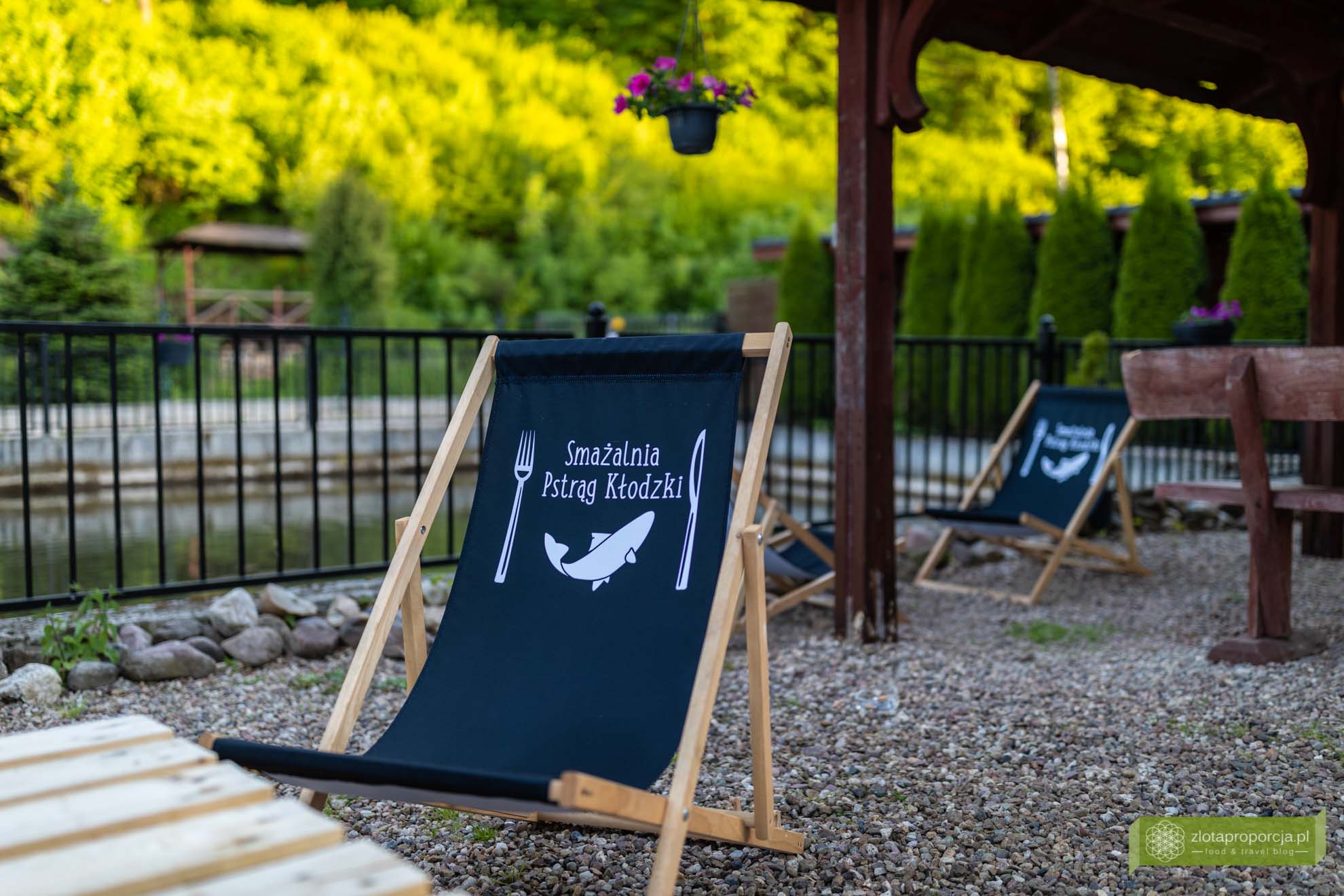 pstrąg kłodzki; smażalnia pastrąga dolny śląsk; smażalnia ścinawka średnia; pstrąg ścinawka średnia; pstrąg dolny sląsk; smażalnia pstrąg kłodzki;