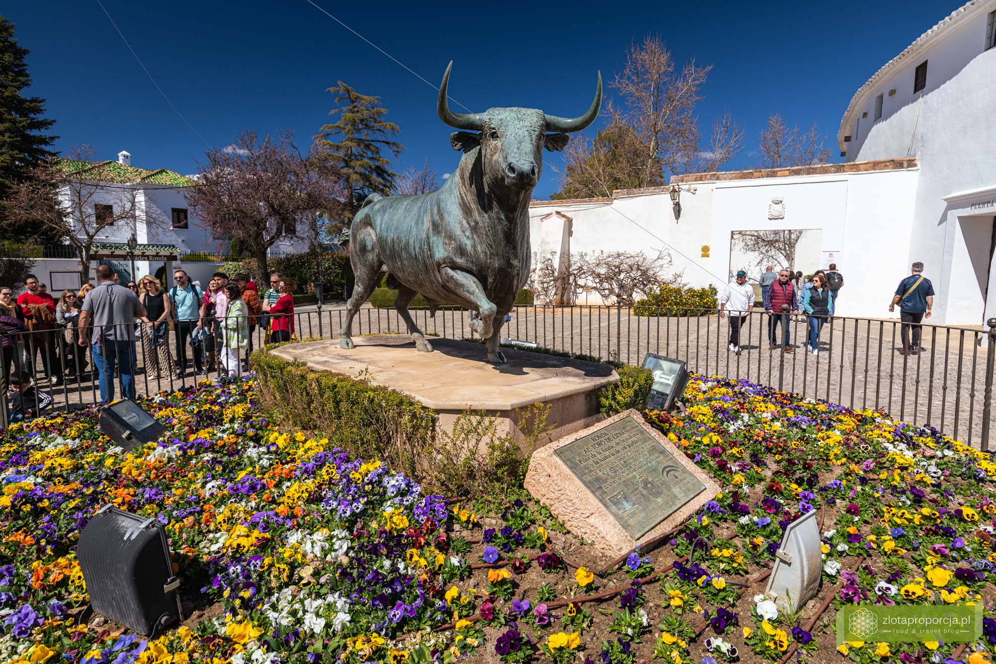 Andaluzja, Hiszpania; atrakcje Andaluzji; co zobaczyć w Andaluzji; Ronda; Ronda Andaluzja; Ronda atrakcje; Ronda co zobaczyć; Ronda zwiedzanie; Plaza de Toros; Plaza de Toros Ronda; Ronda korrida;