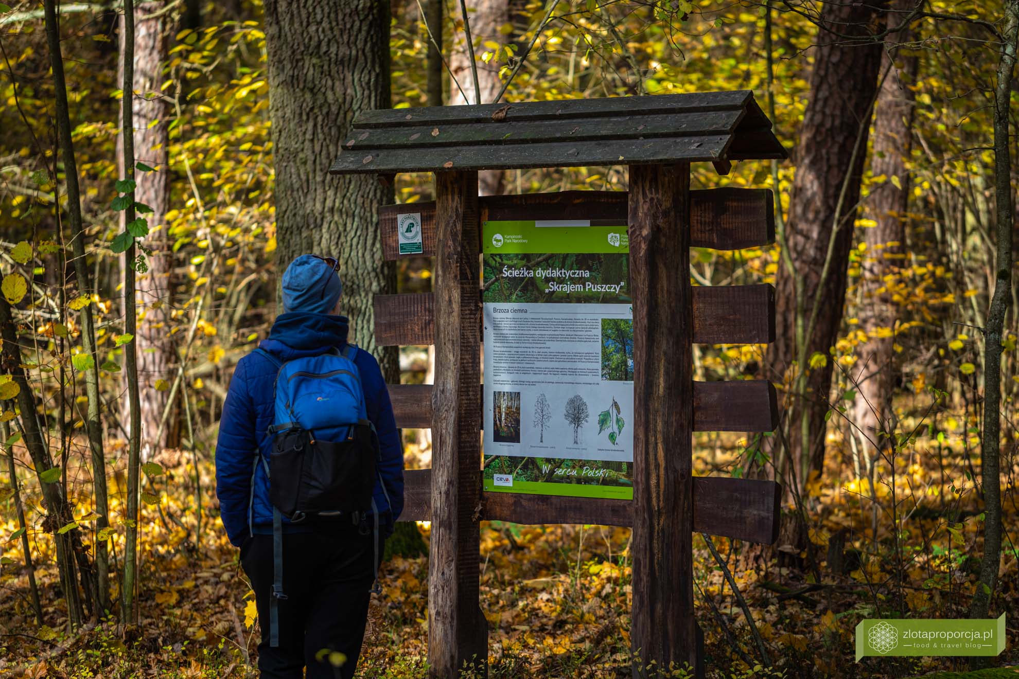 Kampinoski Park Narodowy; Kampinos; ścieżka Skajem Puszczy; okolice Warszawy; jednodniowe wycieczki z Warszawy; atrakcje Puszczy Kampinoskiej;