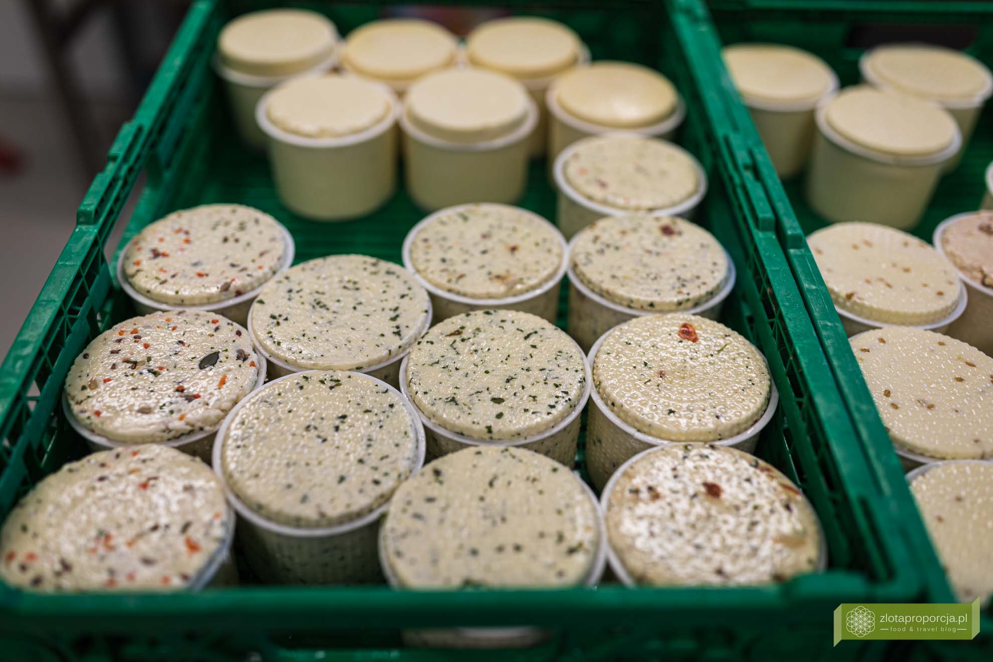 Gorszczyzna; Sery Korycińskie; Podlasie; gdzie najlepsze sery korycińskie; Korycin; okolice Białegostoku; sery korycińskie podlasie; sery nietupscy;