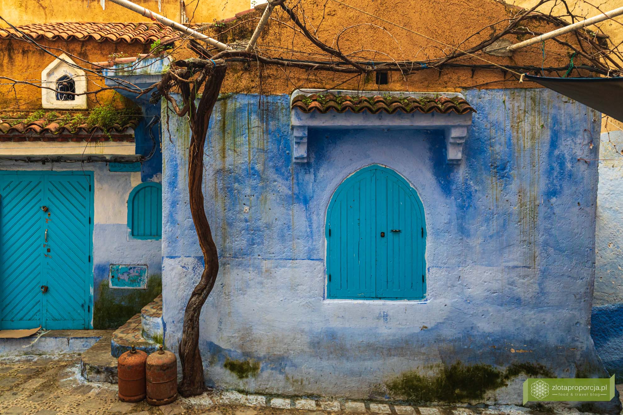 Maroko; Góry Rif; Szafszawan; niebieskie miasto Maroko; Rif; Chefchaouen;