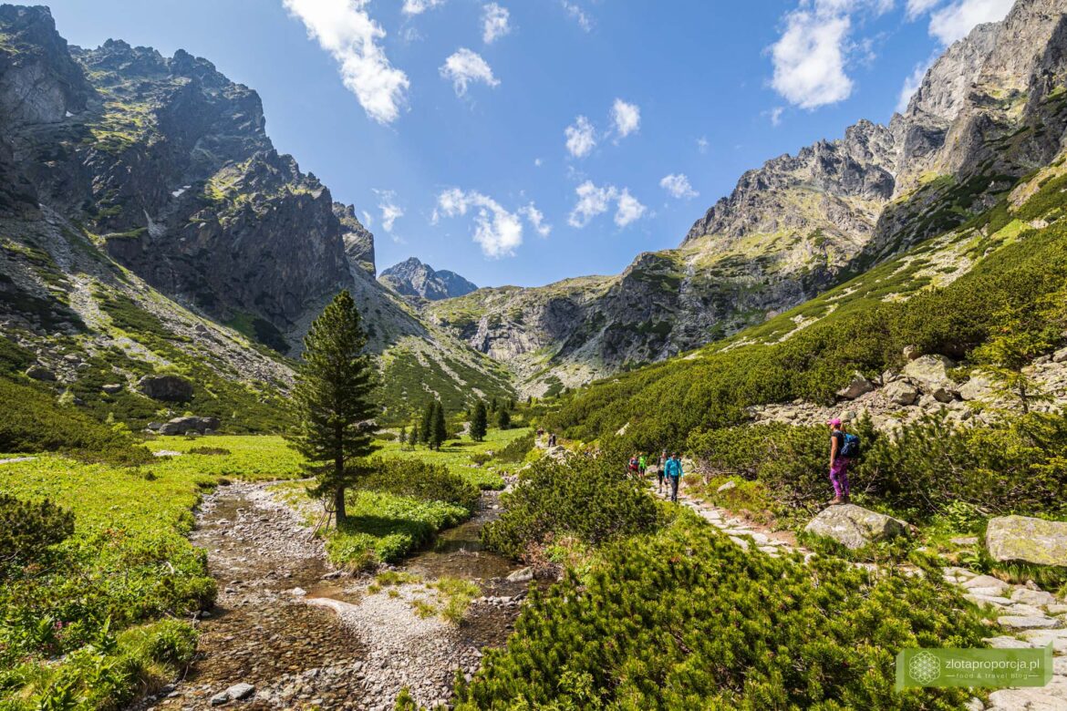 Tatry Słowackie; Słowacja; Tatry; Malá Studená dolina; Dolina Małej Zimnej Wody;