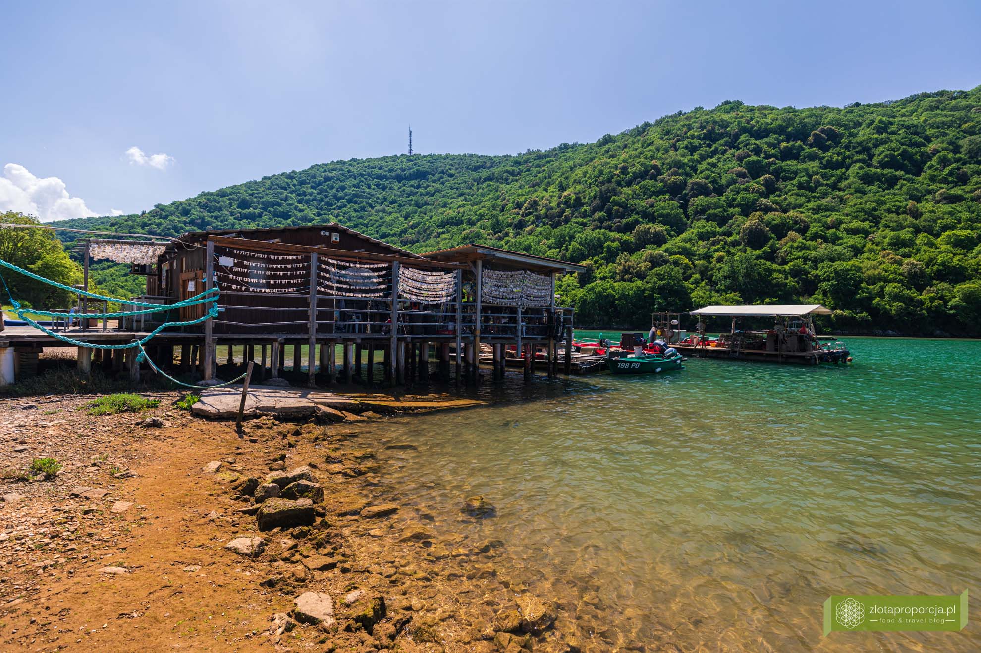 Kanał Limski; Istria; Chorwacja; atrakcje Istrii; co zobaczyć na Istrii; Kanał Limski zwiedzanie; ostrygi Kanał Limski; ostrygi Istria; ostrygi Chorwacja; Tonys oyster shack; Tonys oyster shack Kanał Limski;