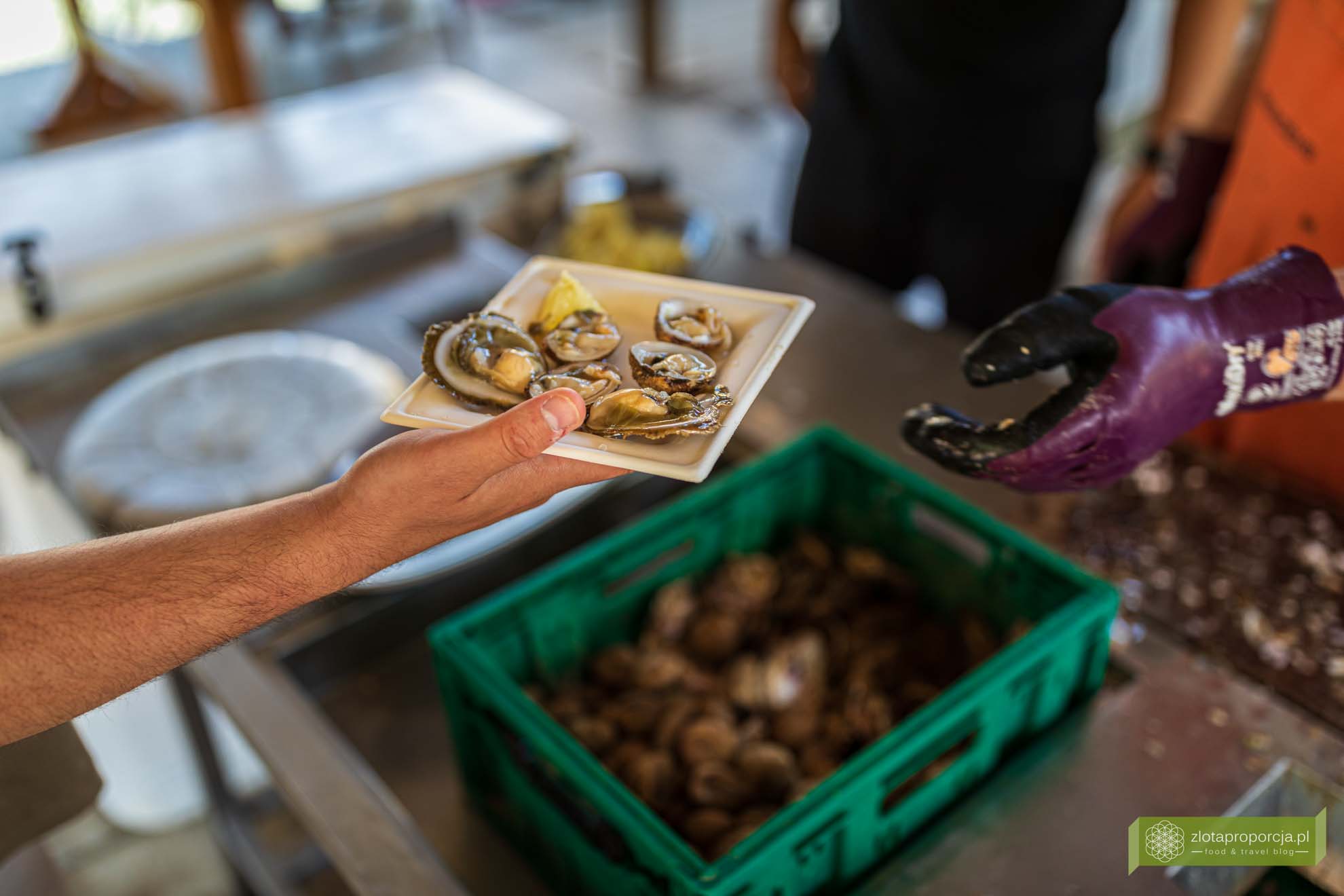 Kanał Limski; Istria; Chorwacja; atrakcje Istrii; co zobaczyć na Istrii; Kanał Limski zwiedzanie; ostrygi Kanał Limski; ostrygi Istria; ostrygi Chorwacja; Tonys oyster shack; Tonys oyster shack Kanał Limski;