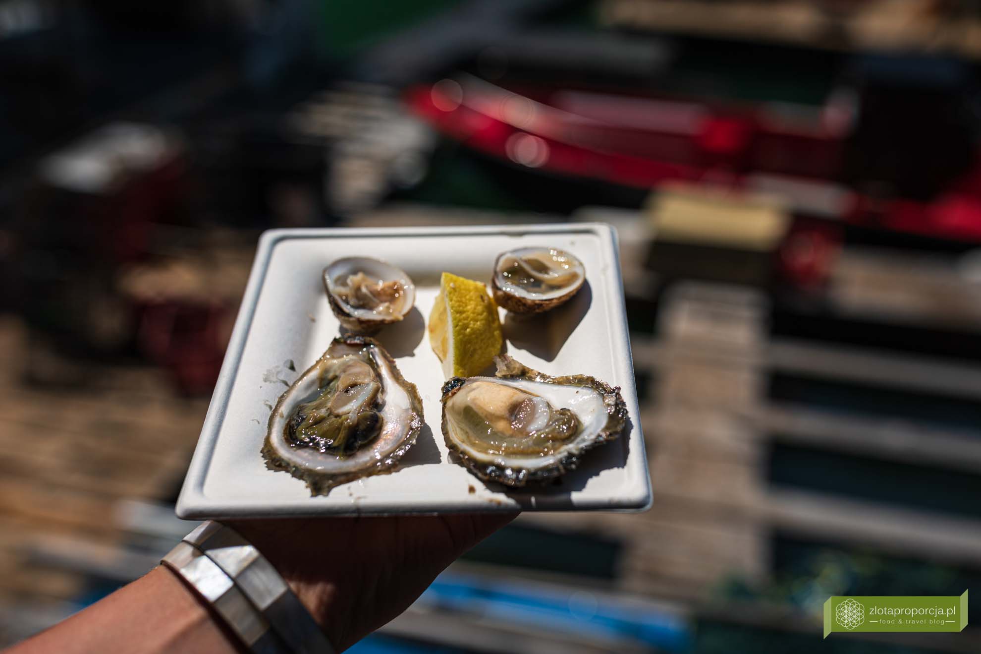 Kanał Limski; Istria; Chorwacja; atrakcje Istrii; co zobaczyć na Istrii; Kanał Limski zwiedzanie; ostrygi Kanał Limski; ostrygi Istria; ostrygi Chorwacja; Tonys oyster shack; Tonys oyster shack Kanał Limski;