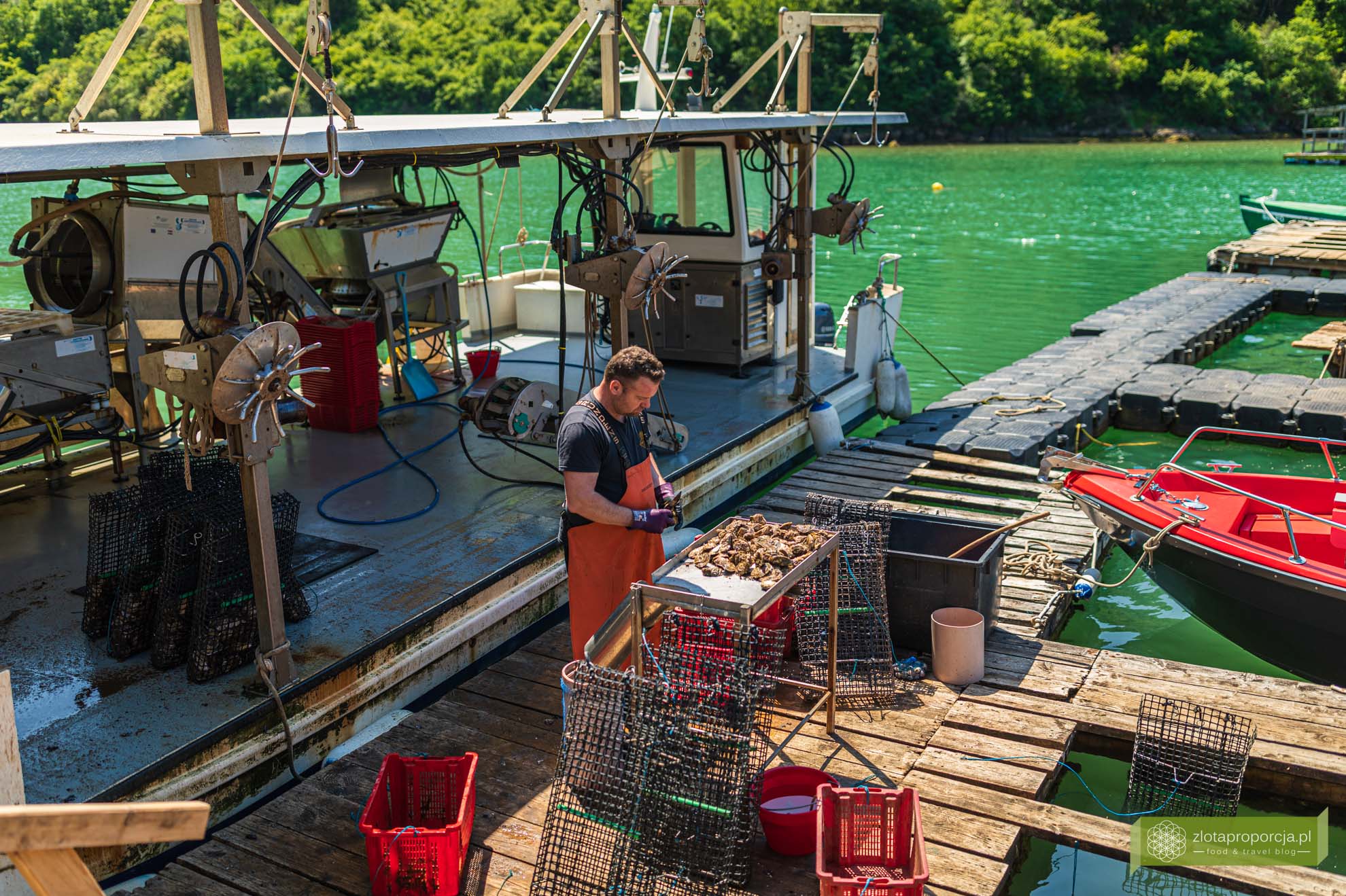 Kanał Limski; Istria; Chorwacja; atrakcje Istrii; co zobaczyć na Istrii; Kanał Limski zwiedzanie; ostrygi Kanał Limski; ostrygi Istria; ostrygi Chorwacja; Tonys oyster shack; Tonys oyster shack Kanał Limski;